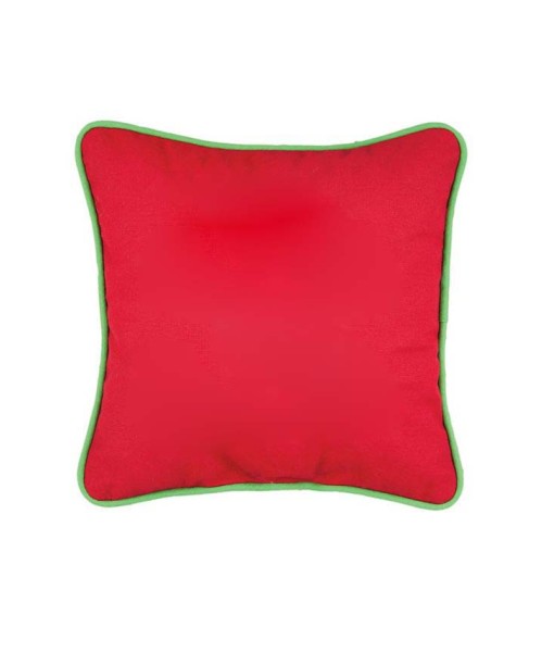 Drink Up Grinches Embroidered Pillow